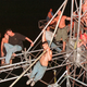 Image for article titled How Can Woodstock 2019 Top All the Other Woodstocks?